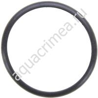 Прокладка резиновая колбы Big Blue 2014