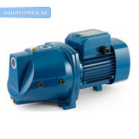 Насос самовсасывающий Pedrollo JSWm/2CХ