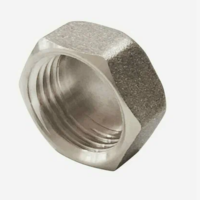 Заглушка никель ВР 1/2"