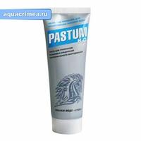 Паста для уплотнения "PASTUM H20" 70г (туба)