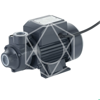 Поверхностный вихревой насос QB 60